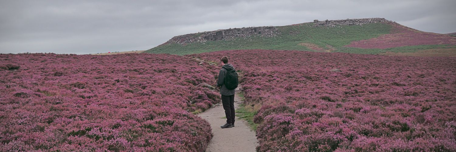 paddyoc8's profile banner image