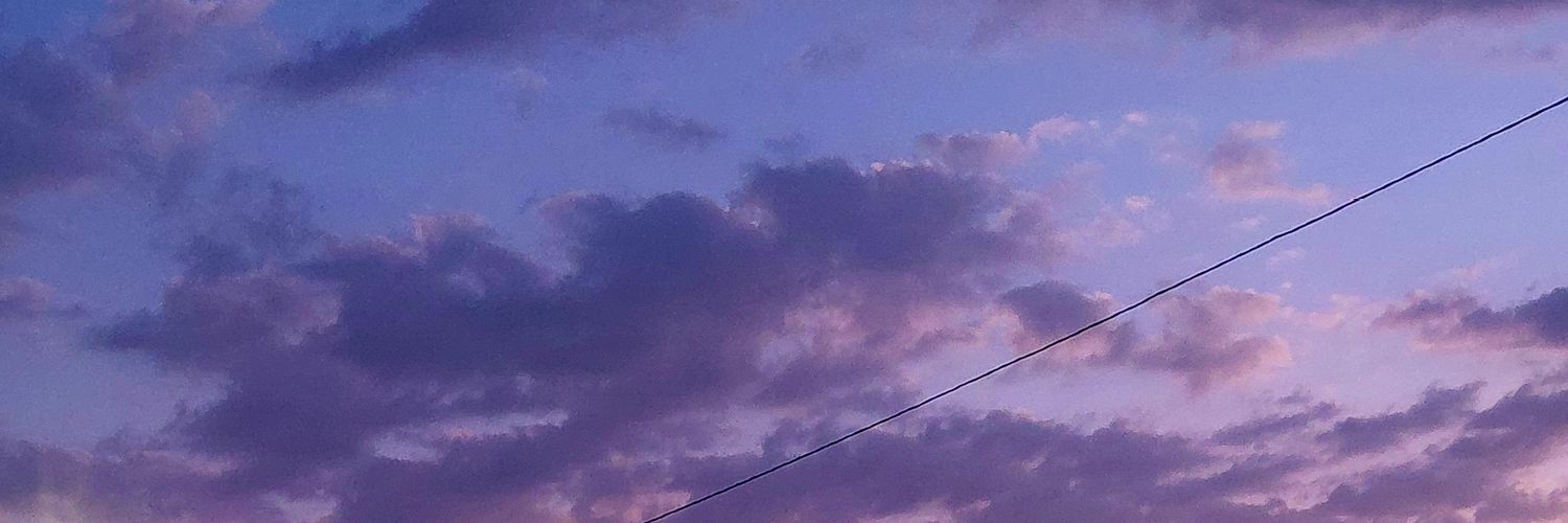 flormunhoz's profile banner image