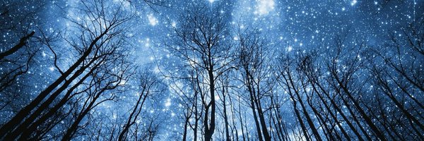 aPlainStudent Profile Banner