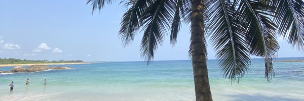 Angilau_ Profile Banner