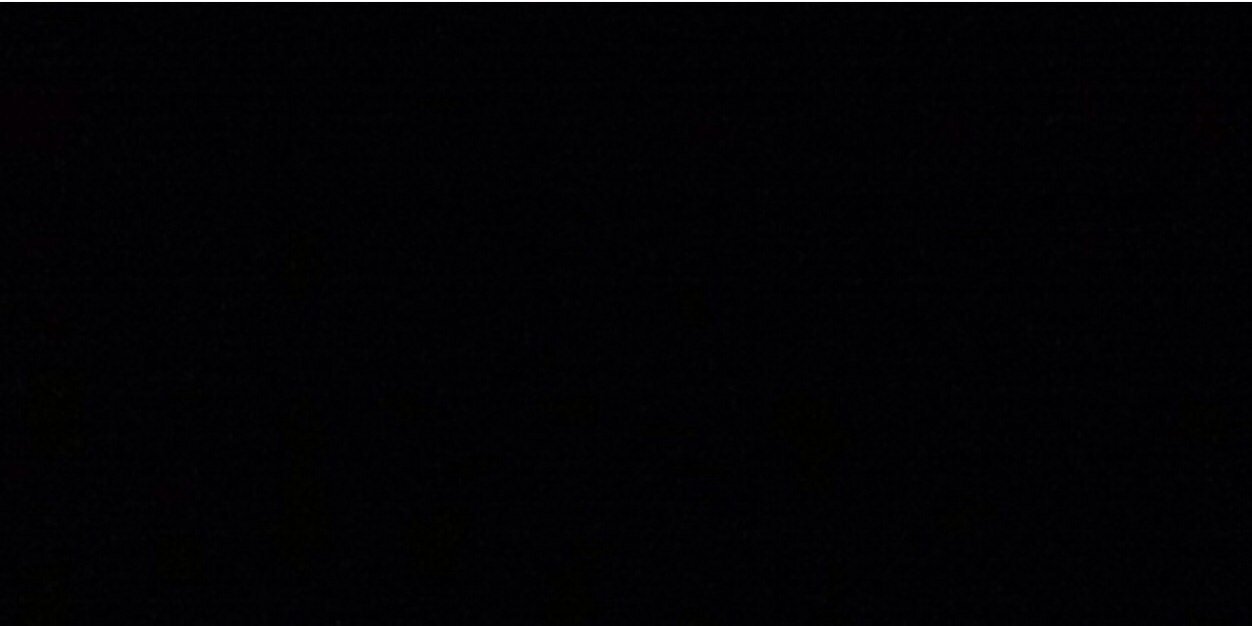 ArchieTheTurtle's profile banner image