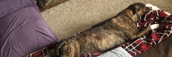 CastFPS Profile Banner