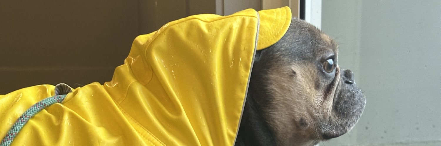 hvruka_'s profile banner image