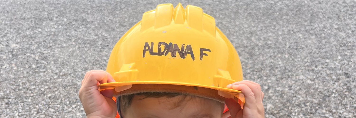 aldanaff's profile banner image