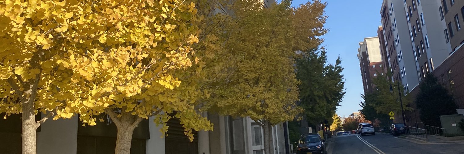 irishROSirish's profile banner image