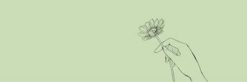 matthewpld's profile banner image