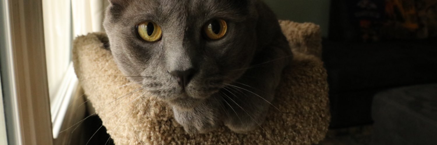 ratlyson's profile banner image
