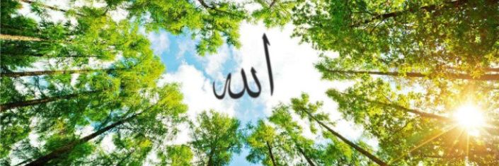 Mouktar 🇻🇳 banner