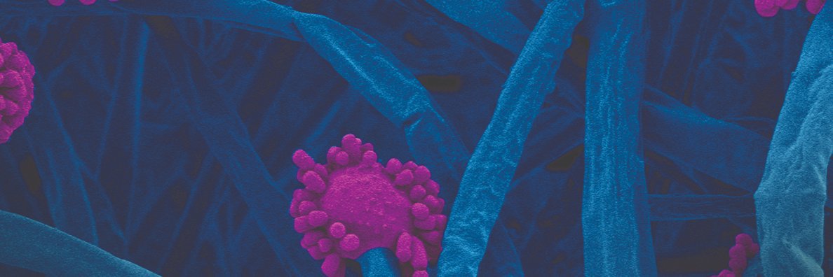 CRiverLabs's profile banner image