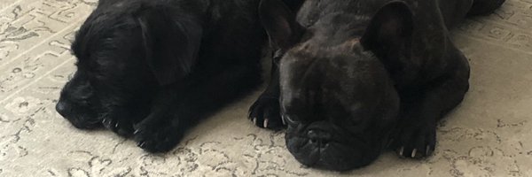 EmlouB79 Profile Banner