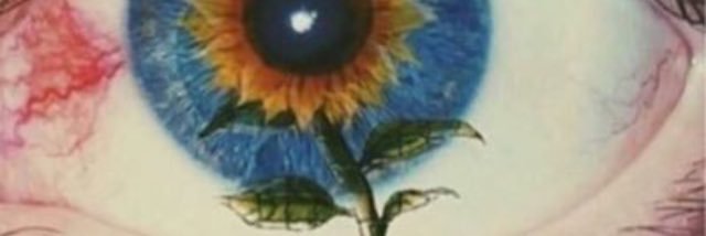 Surox_'s profile banner image
