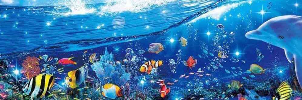 sharkyy 🌊🔜FWA banner