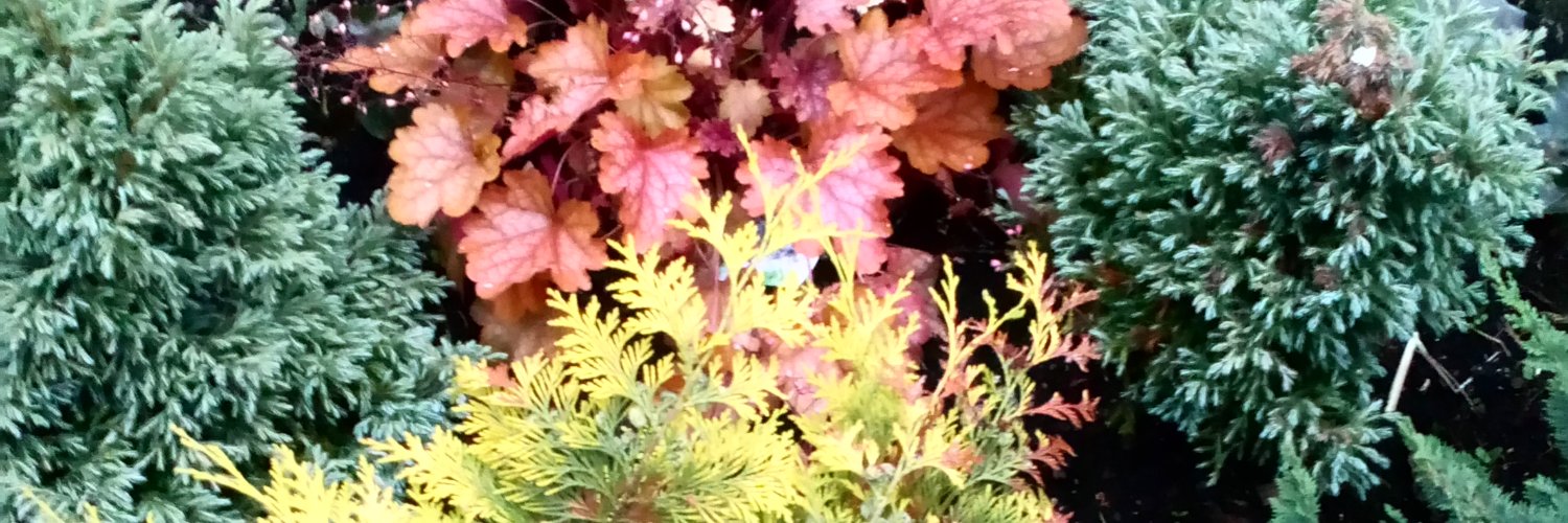 garnetsandgrace's profile banner image