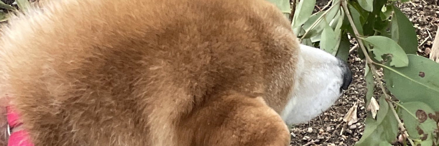 onuimonui's profile banner image