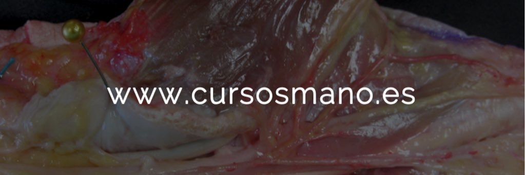cursosmano's profile banner image
