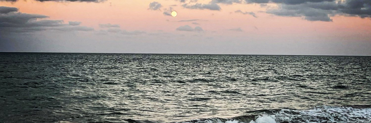 katestew229's profile banner image