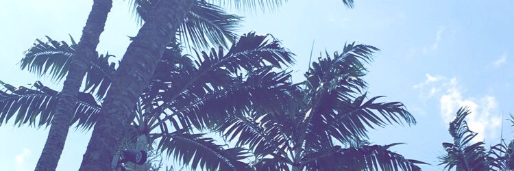 lindseynora3's profile banner image