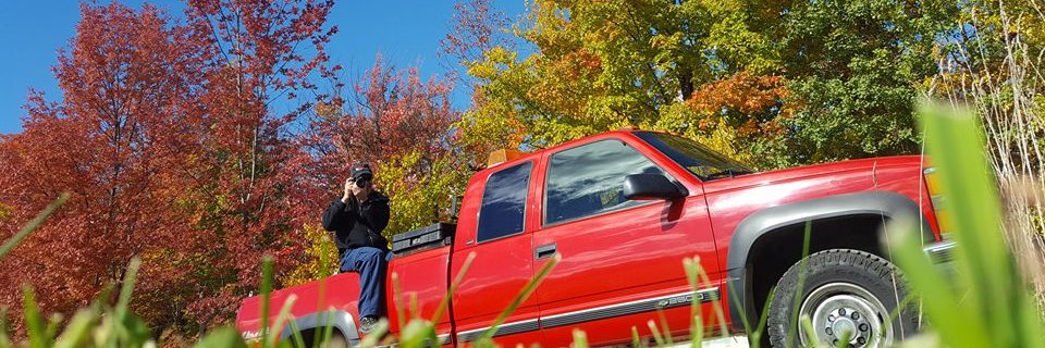 Nicolas Witty banner