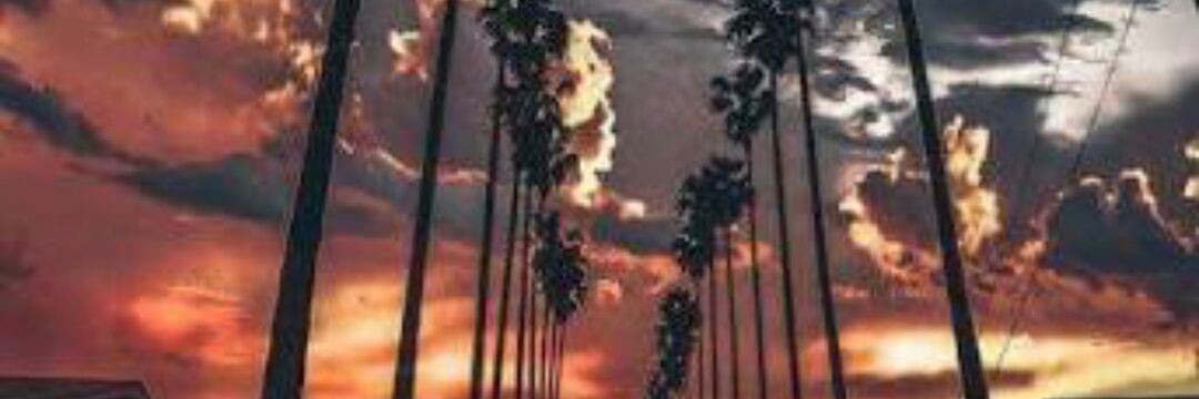 millena_marcal's profile banner image