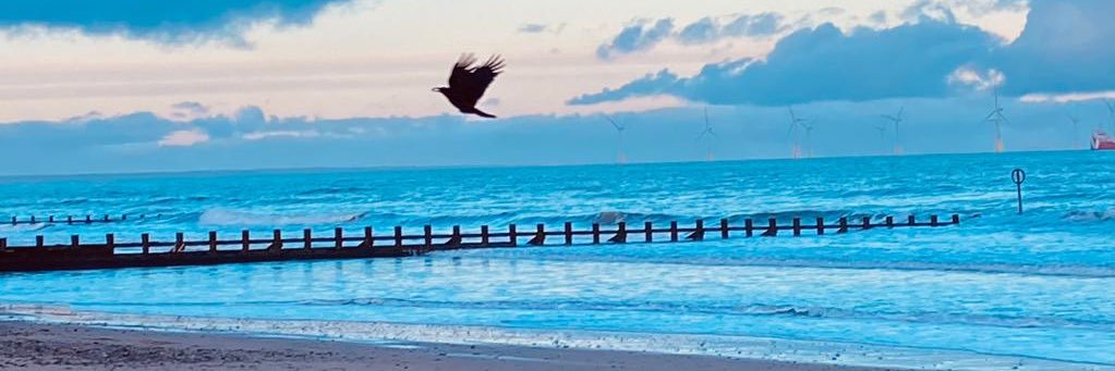 Martina Prout banner