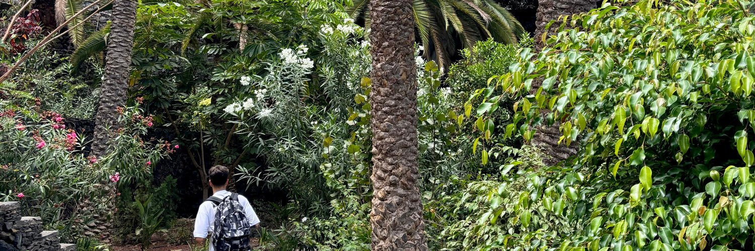 Tiago banner