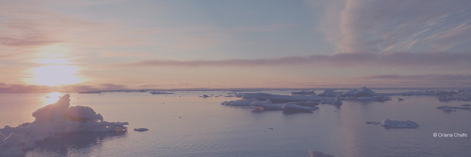 NPRB Arctic Program banner