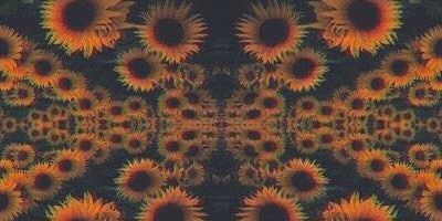 Mericanocastro's profile banner image