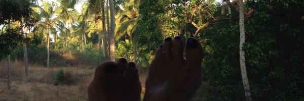 H2HOGG Profile Banner