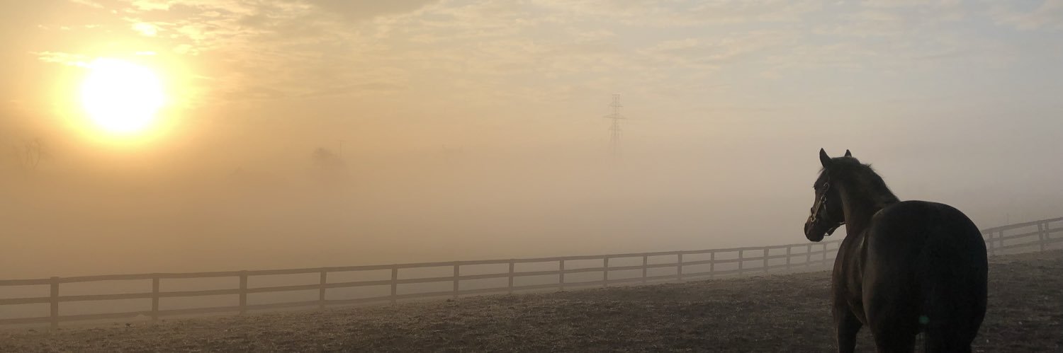 AmberWindsor1's profile banner image