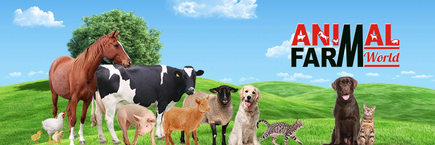 animalfarmworld's profile banner image