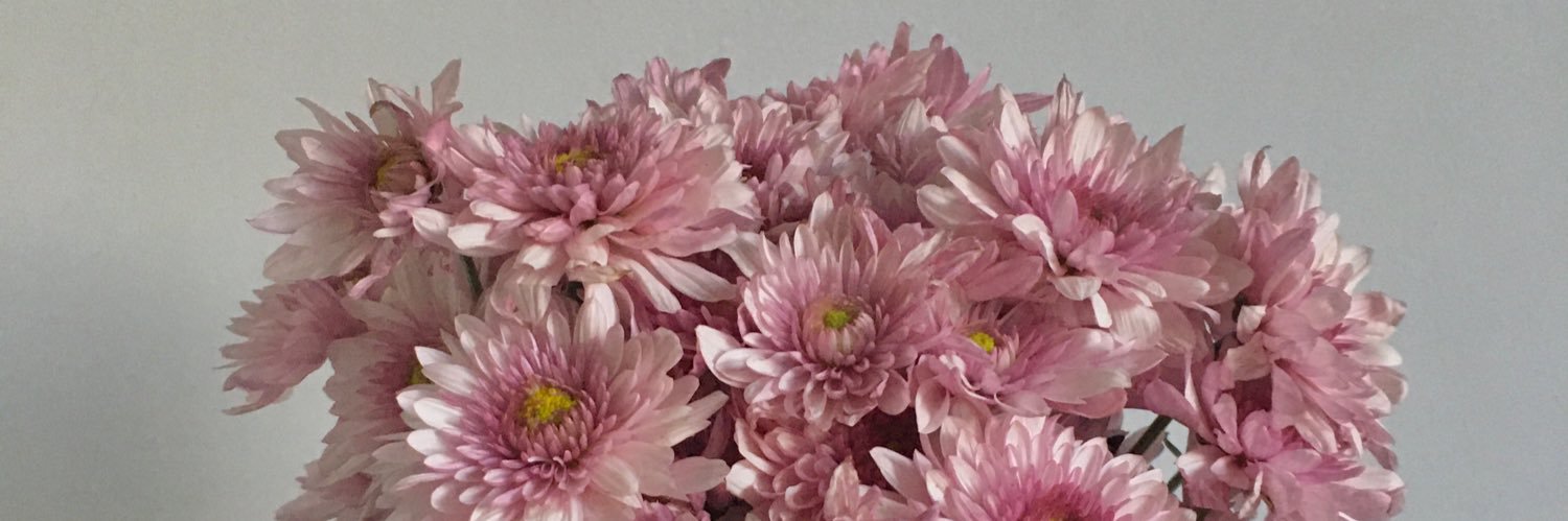 yuditvp's profile banner image