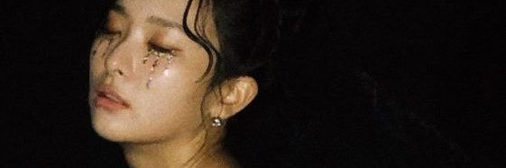seulsbearr's profile banner image
