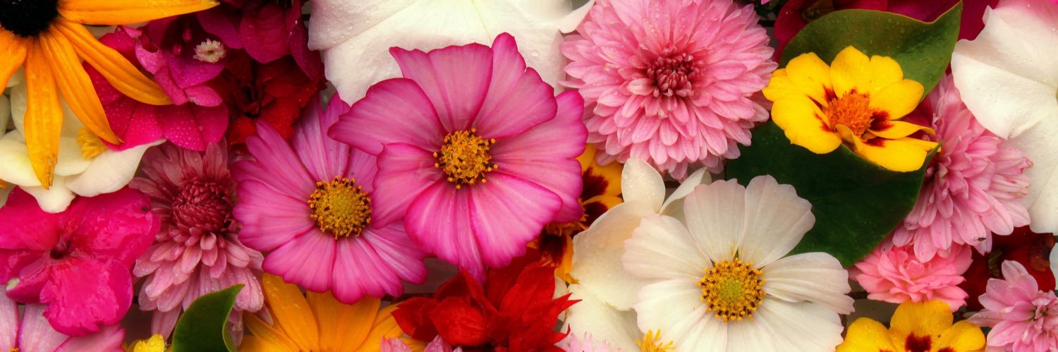 april27__'s profile banner image