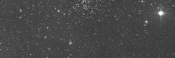 PlacidEarthling Profile Banner