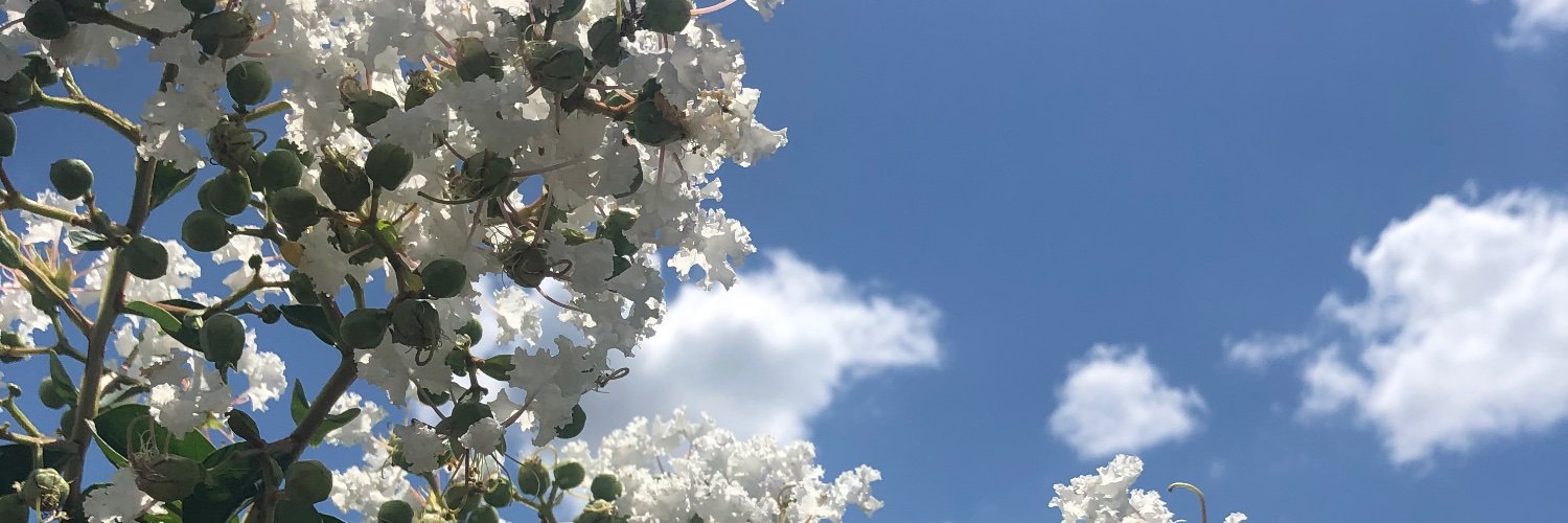 mene5's profile banner image