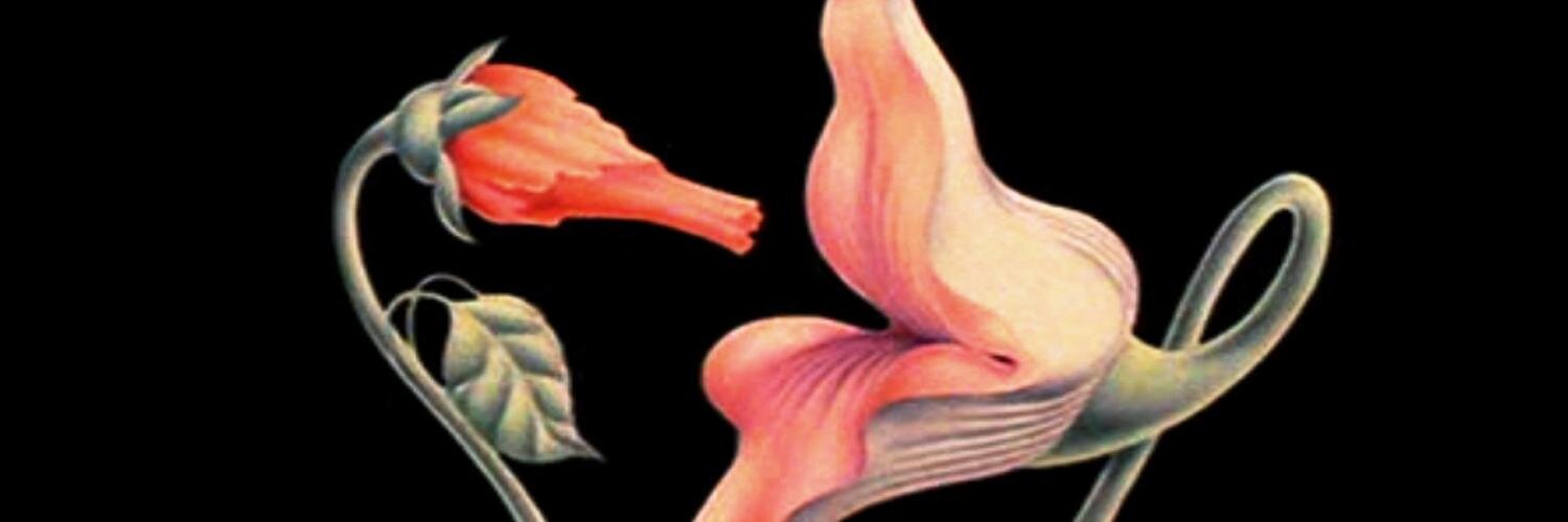abeneitez8's profile banner image