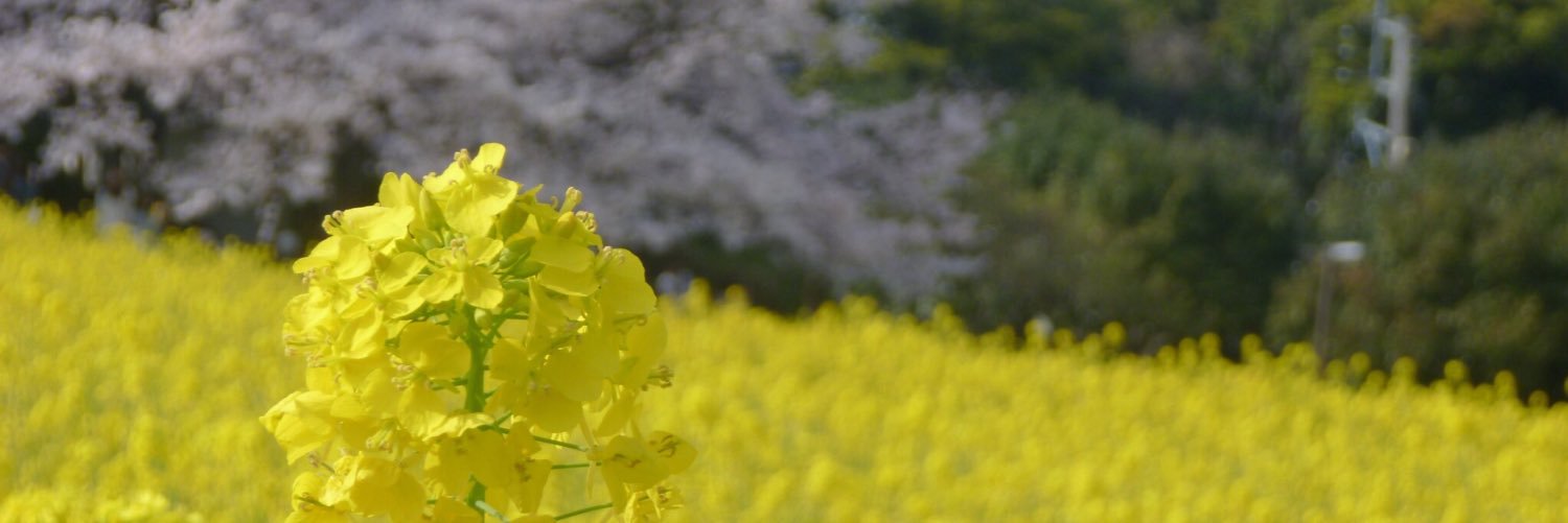 jimiken's profile banner image