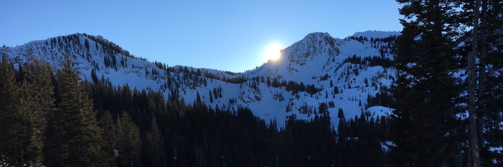 Joshua Landau banner