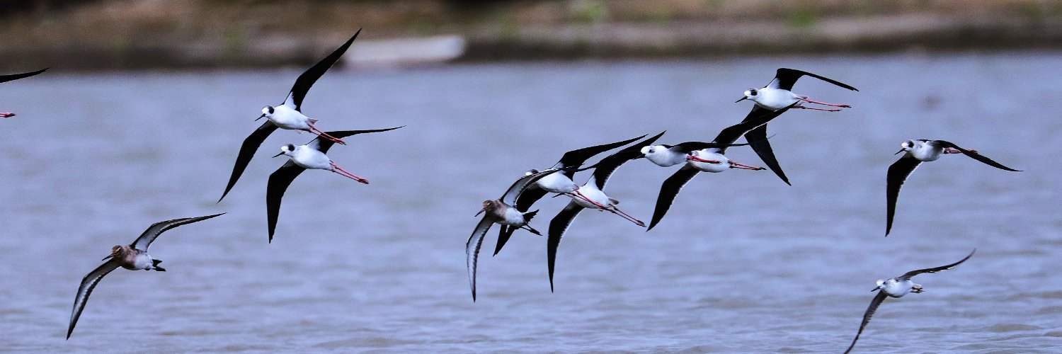 にっし〜〜 banner