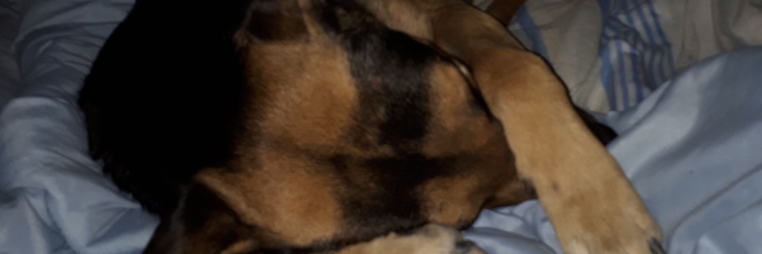 LautiH2's profile banner image