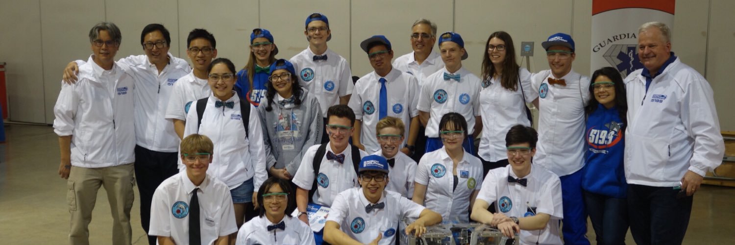 Robot Dolphins banner