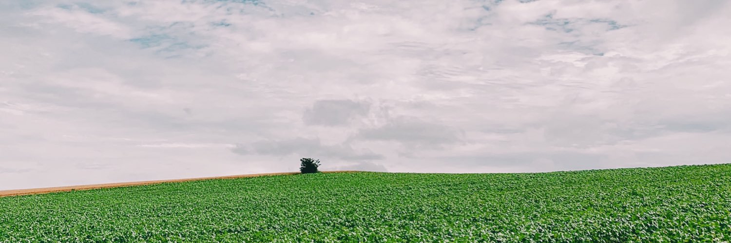 nyiphyo's profile banner image