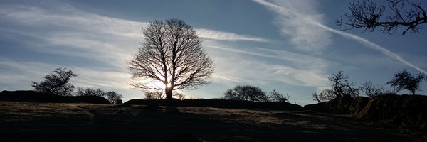 ExEvidSC Profile Banner