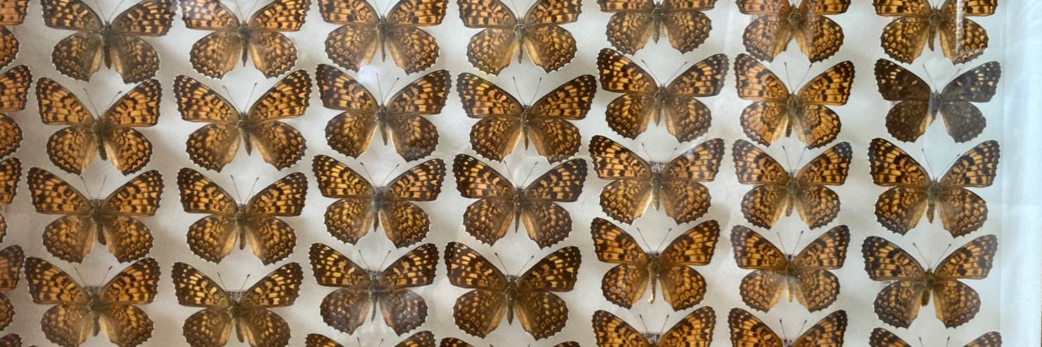 mattsuanko's profile banner image