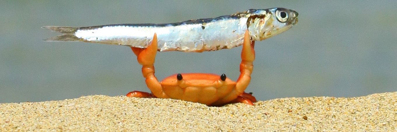 Jeff the Less❤️‍🔥 banner