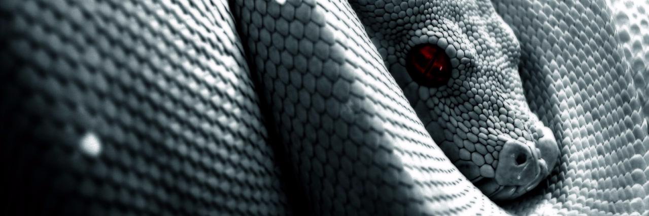 samdondark's profile banner image