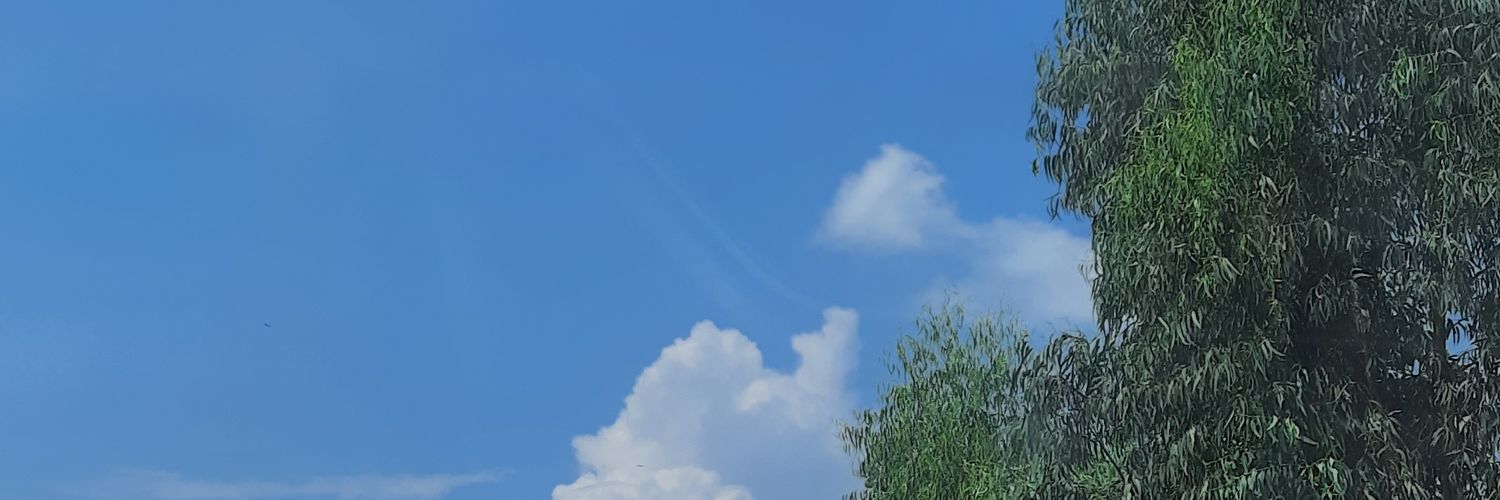AnuP024's profile banner image