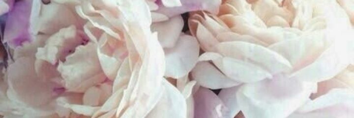 c_coneja's profile banner image