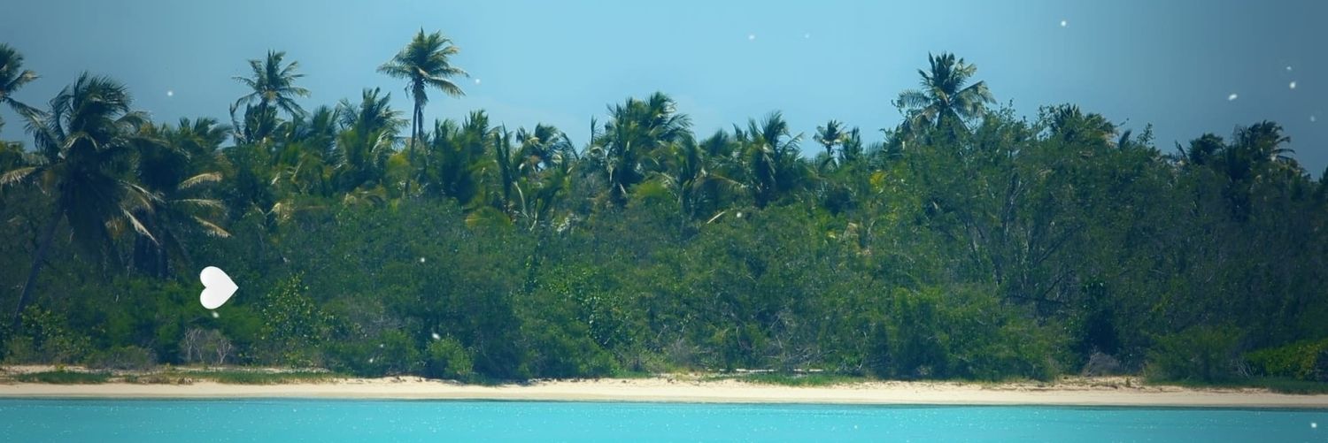 dmccarvel's profile banner image