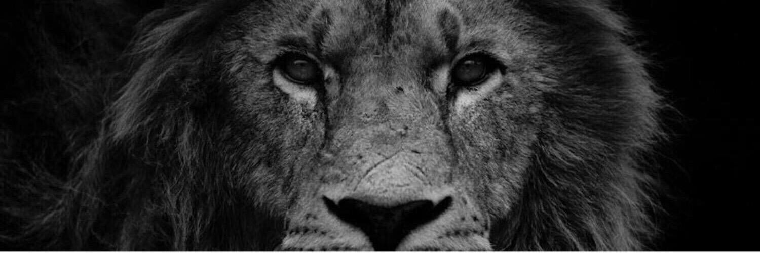 Caleb_P7's profile banner image